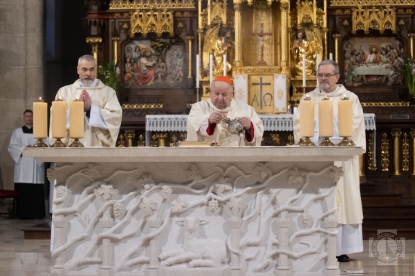 kardynał dziwisz przy ołtarzu z diakonami